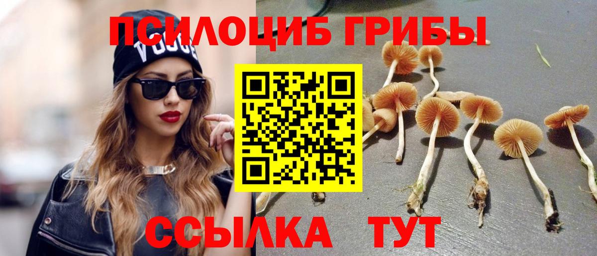 Галлюциногенные грибы мухоморы Новокуйбышевск